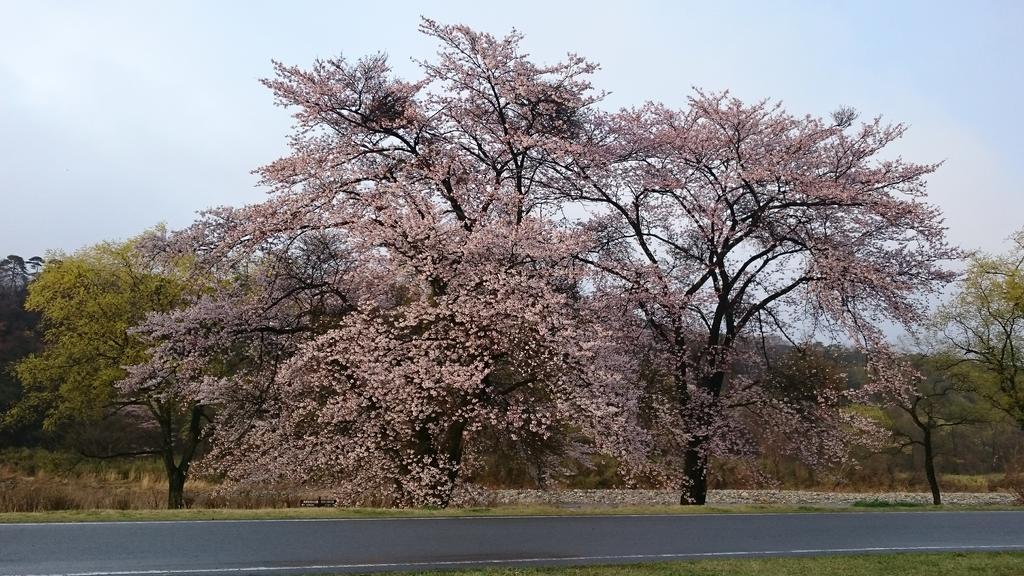 Kansuien Kakuraku Nasushiobara Exterior photo